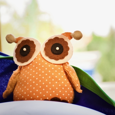 Bagoly ül az ablakban